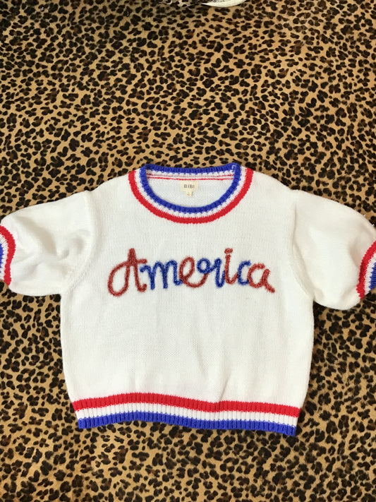 America red white blue sweater